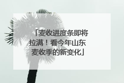 麦收进度条即将拉满！看今年山东麦收季的新变化