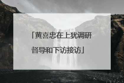 黄喜忠在上犹调研督导和下访接访
