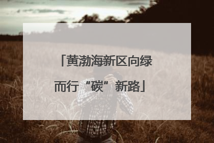 黄渤海新区向绿而行“碳”新路