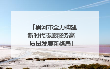 黑河市全力构建新时代志愿服务高质量发展新格局