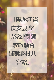 黑龙江省庆安县 坚持党建引领 农旅融合铺就乡村共富路