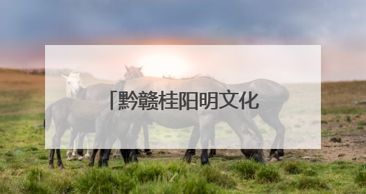 黔赣桂阳明文化转化运用暨文旅体融合发展座谈会在修文县举行