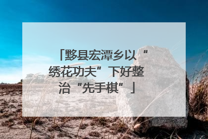 黟县宏潭乡以“绣花功夫”下好整治“先手棋”