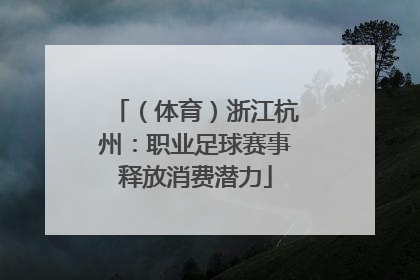 （体育）浙江杭州：职业足球赛事释放消费潜力