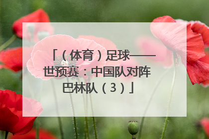 （体育）足球——世预赛：中国队对阵巴林队（3）