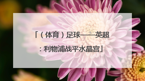 （体育）足球——英超：利物浦战平水晶宫
