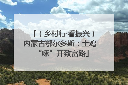 （乡村行·看振兴）内蒙古鄂尔多斯：土鸡“啄”开致富路