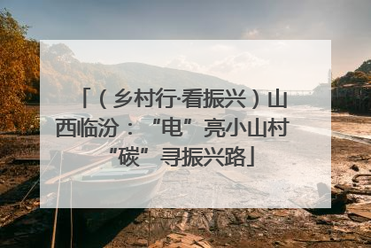 （乡村行·看振兴）山西临汾：“电”亮小山村 “碳”寻振兴路