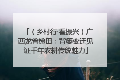 （乡村行·看振兴）广西龙脊梯田：背篓变迁见证千年农耕传统魅力