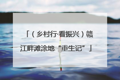 （乡村行·看振兴）赣江畔滩涂地“重生记”