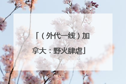 （外代一线）加拿大：野火肆虐