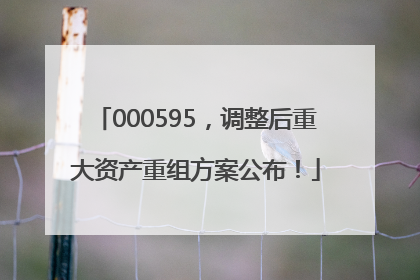 000595，调整后重大资产重组方案公布！