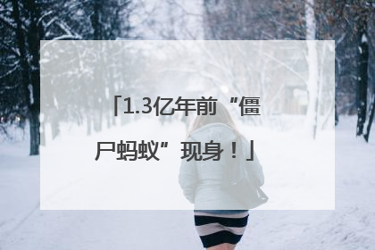 1.3亿年前“僵尸蚂蚁”现身！
