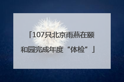107只北京雨燕在颐和园完成年度“体检”
