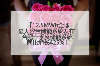 12.5MWh全球最大容量储能系统发布 合肥一季度储能系统同比增长425%