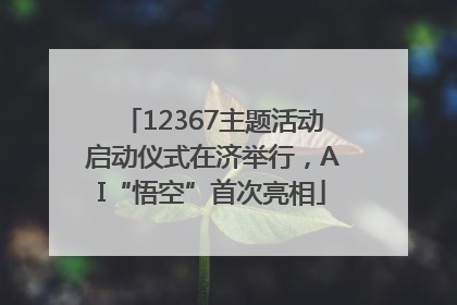 12367主题活动启动仪式在济举行，AI“悟空”首次亮相