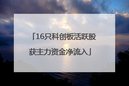 16只科创板活跃股获主力资金净流入