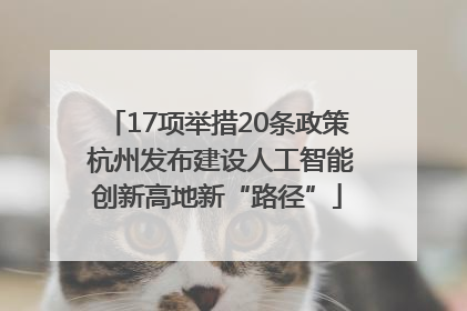 17项举措20条政策 杭州发布建设人工智能创新高地新“路径”