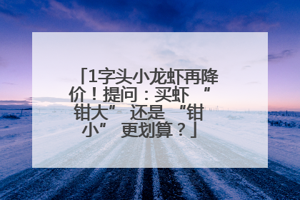 1字头小龙虾再降价！提问：买虾 “钳大” 还是 “钳小” 更划算？