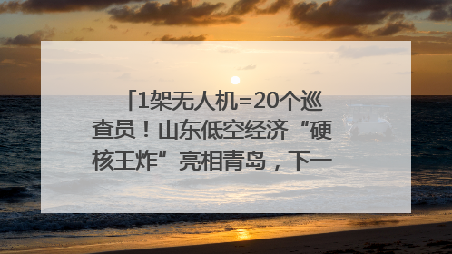 1架无人机=20个巡查员！山东低空经济“硬核王炸”亮相青岛，下一个万亿赛道藏在这里