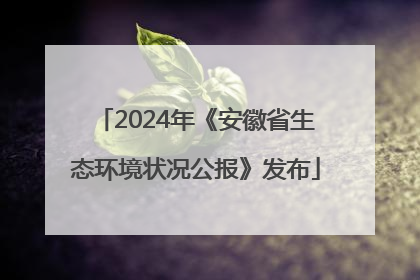 2024年《安徽省生态环境状况公报》发布