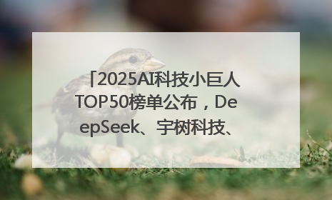 2025AI科技小巨人TOP50榜单公布，DeepSeek、宇树科技、蘑菇车联等企业荣誉上榜