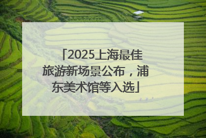 2025上海最佳旅游新场景公布，浦东美术馆等入选