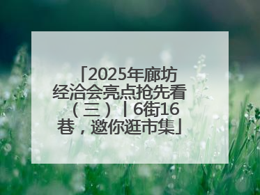 2025年廊坊经洽会亮点抢先看（三）丨6街16巷，邀你逛市集