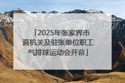 2025年张家界市直机关及驻张单位职工气排球运动会开幕