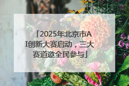 2025年北京市AI创新大赛启动，三大赛道邀全民参与