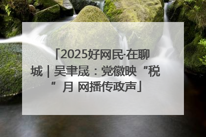 2025好网民·在聊城｜吴聿晟：党徽映“税”月 网播传政声