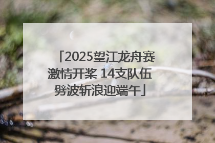 2025望江龙舟赛激情开桨 14支队伍劈波斩浪迎端午