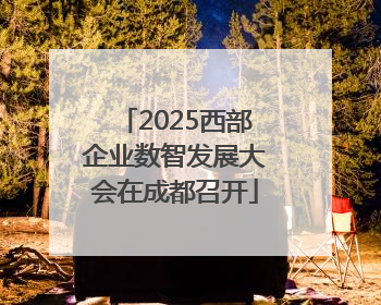 2025西部企业数智发展大会在成都召开