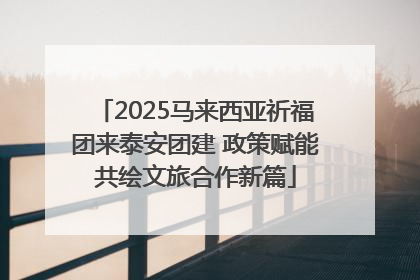 2025马来西亚祈福团来泰安团建 政策赋能共绘文旅合作新篇