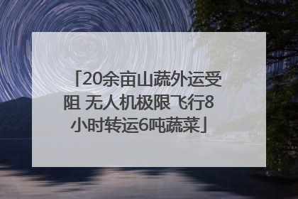 20余亩山蔬外运受阻 无人机极限飞行8小时转运6吨蔬菜