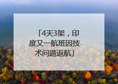 4天3架，印度又一航班因技术问题返航