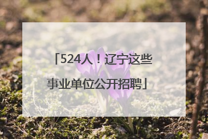 524人！辽宁这些事业单位公开招聘