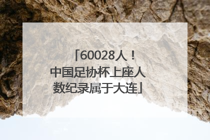 60028人！中国足协杯上座人数纪录属于大连