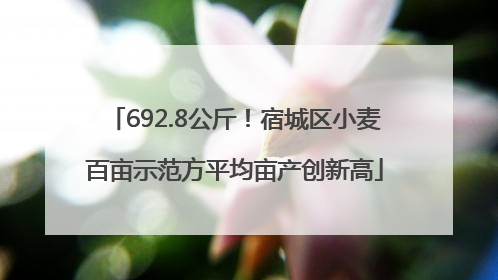 692.8公斤！宿城区小麦百亩示范方平均亩产创新高