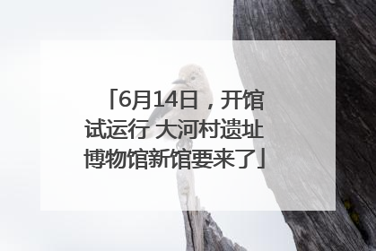 6月14日，开馆试运行 大河村遗址博物馆新馆要来了