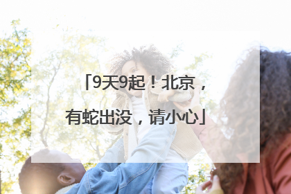 9天9起！北京，有蛇出没，请小心