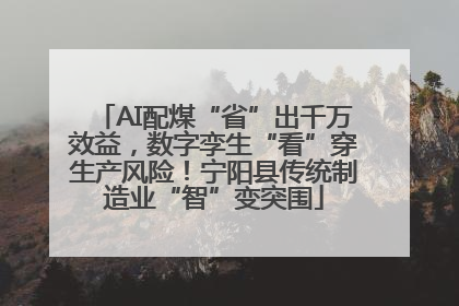 AI配煤“省”出千万效益，数字孪生“看”穿生产风险！宁阳县传统制造业“智”变突围