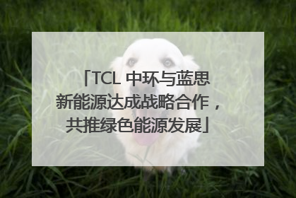 TCL 中环与蓝思新能源达成战略合作，共推绿色能源发展